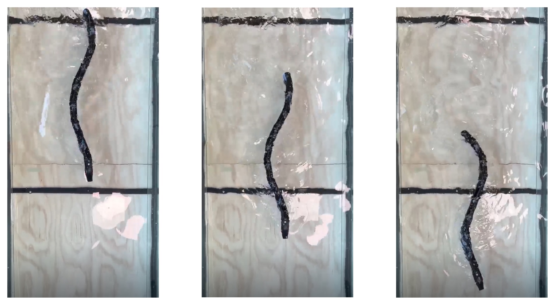 Control of an aquatic snake robot inspired by lampreys’ Central Pattern Generator