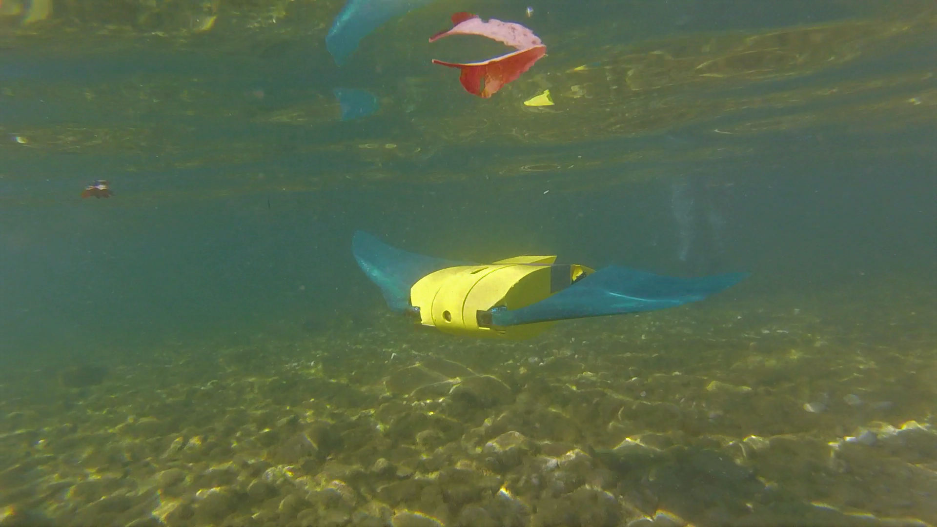 Bioinspired and Swarm