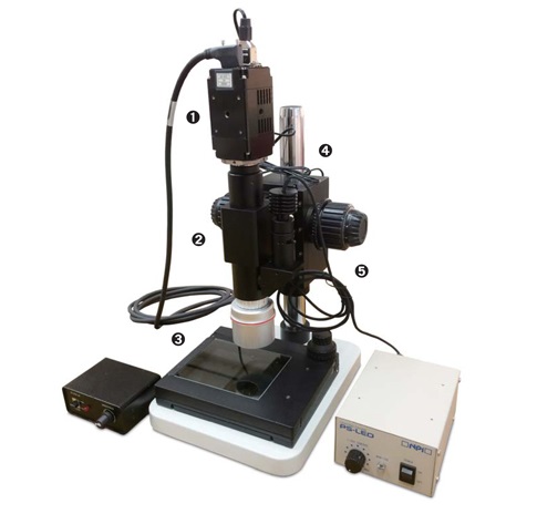 Out-of-plane stroboscopic analysis of MEMS motion sensors